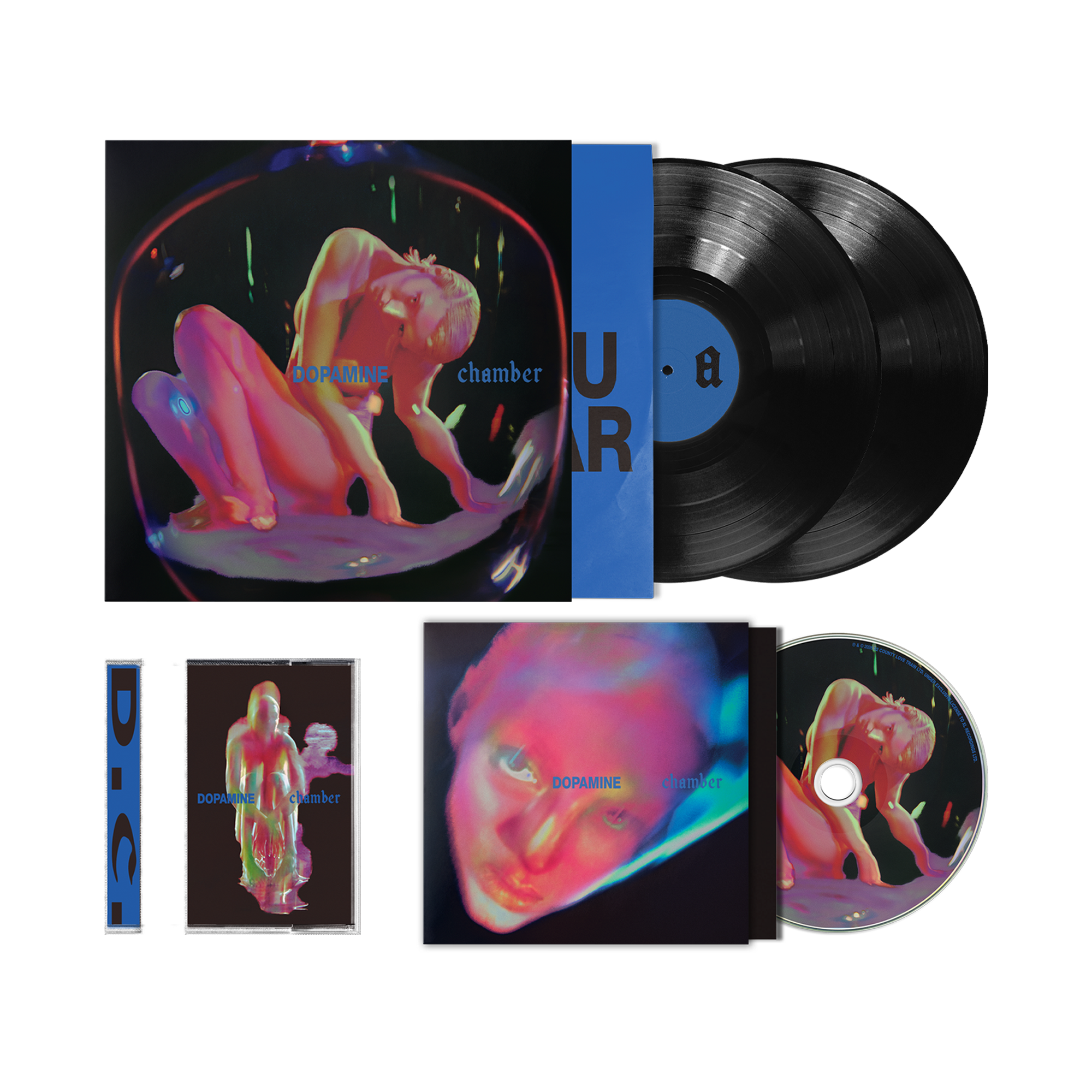 Fontaines DC Dopamine Chamber music bundle. Vinyl record album set with a square album cover, two black LP records, a CD, and a CD case. The cover art shows a surreal pink and blue human figure inside a dark frame.
