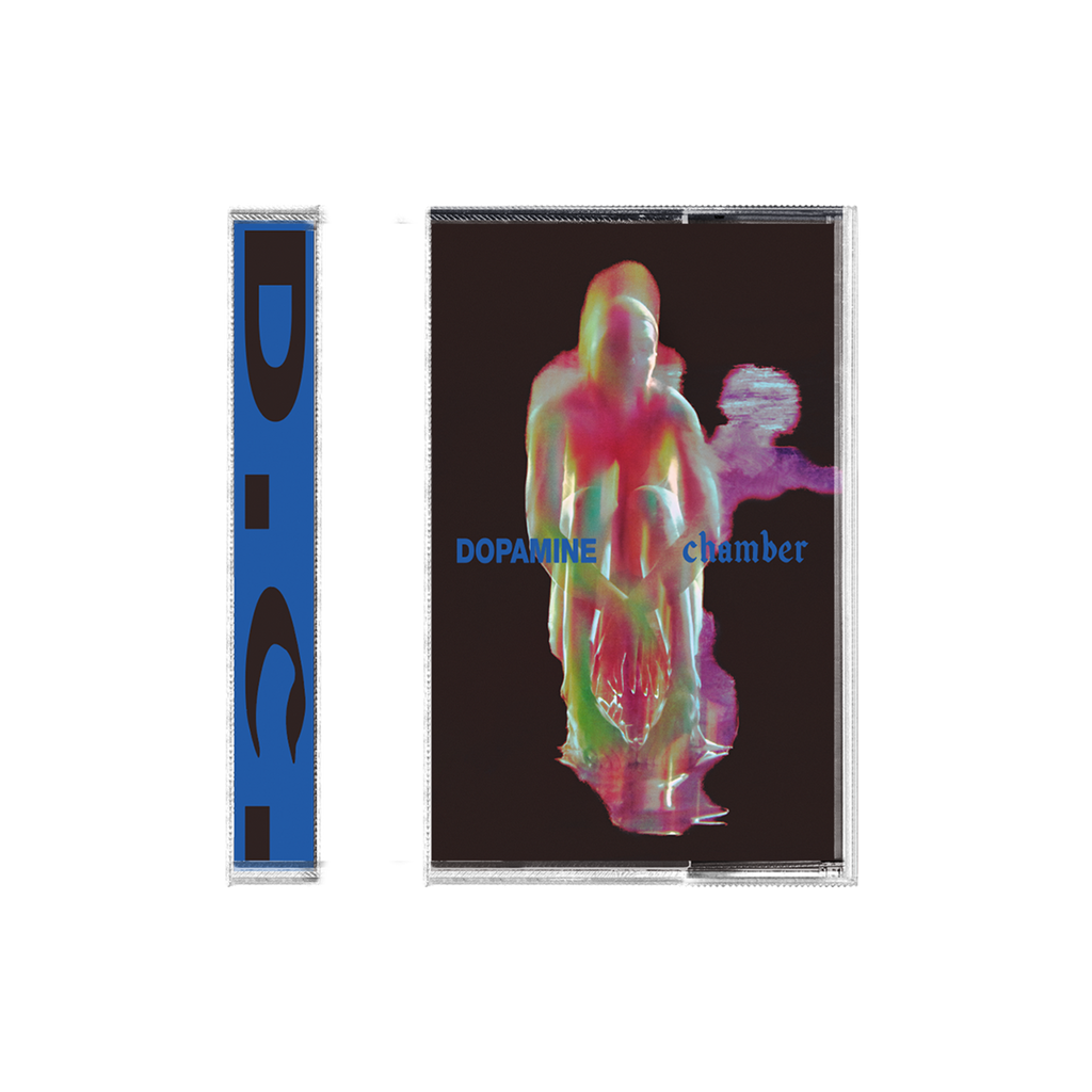 Fontaines DC Dopamine Chamber cassette. A double-sided cassette-style music release shown on a plain white background. The front cover features a dark brown background with a colorful, distorted human figure in pink, green, and yellow tones, with the text 'DOPAMINE chamber' in blue.